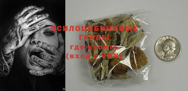 ПСИЛОЦИБИНОВЫЕ ГРИБЫ Лихославль