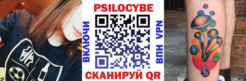 Псилоцибиновые грибы Psilocybe  Купить закладки  Берёзовка 
